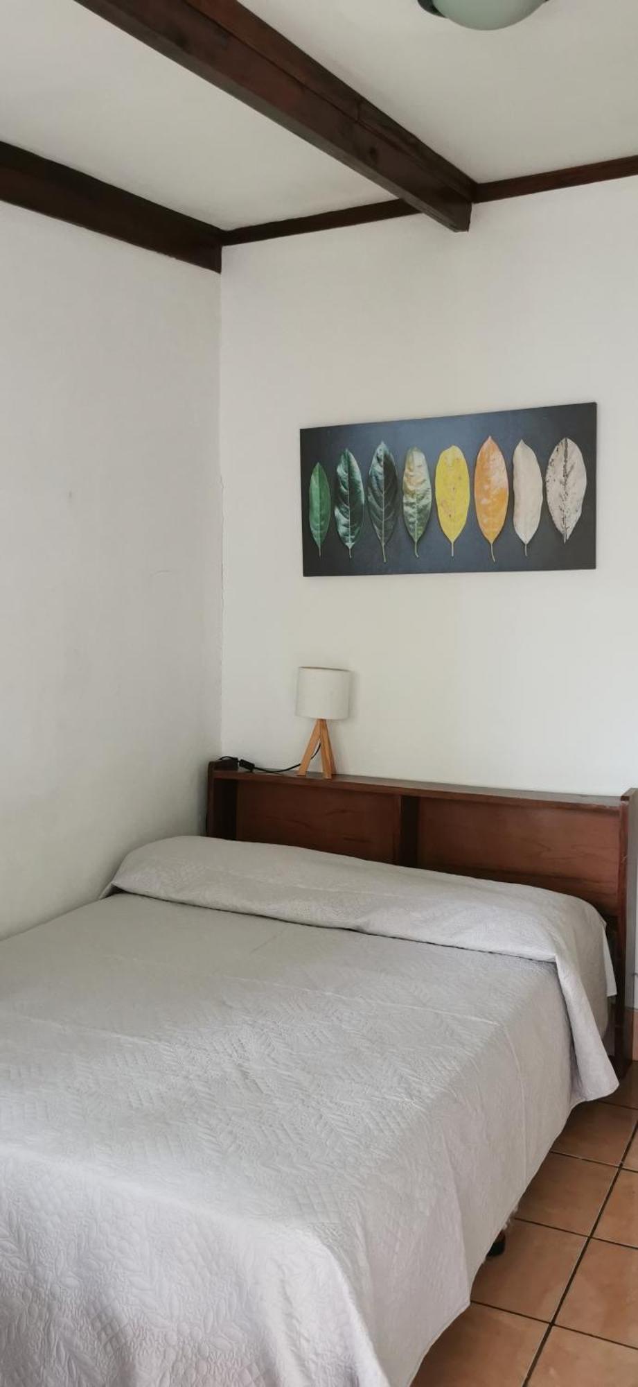 Casa Kibi Kibi Hotel San Jose  Bagian luar foto
