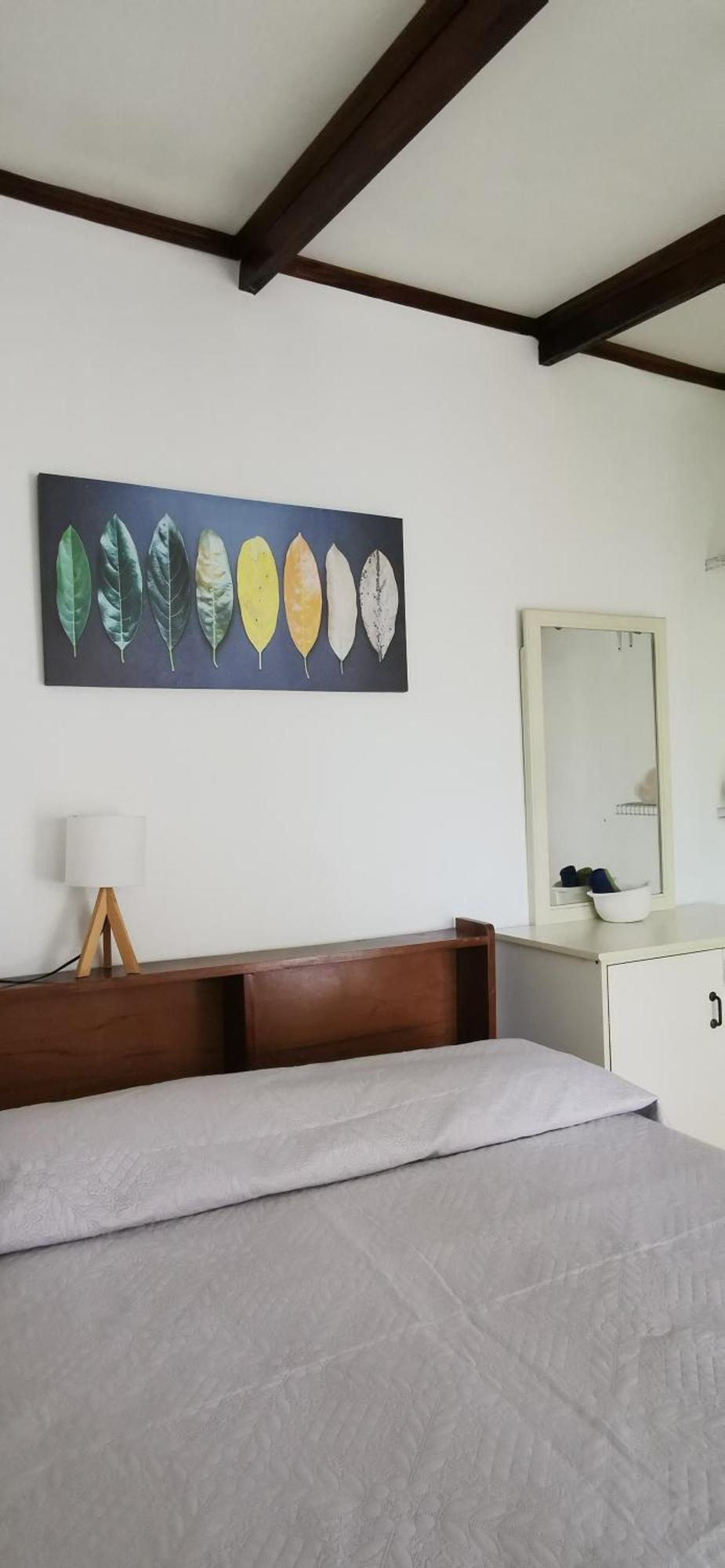 Casa Kibi Kibi Hotel San Jose  Bagian luar foto