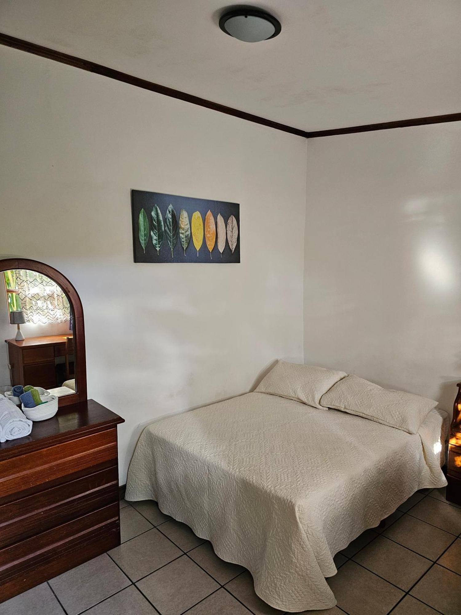 Casa Kibi Kibi Hotel San Jose  Bagian luar foto