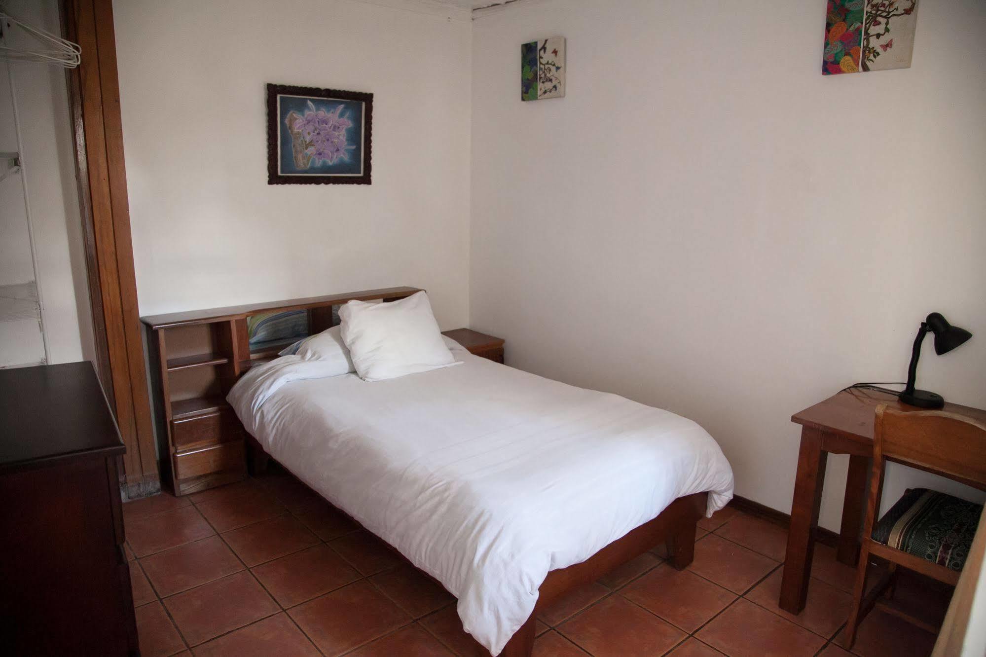 Casa Kibi Kibi Hotel San Jose  Bagian luar foto