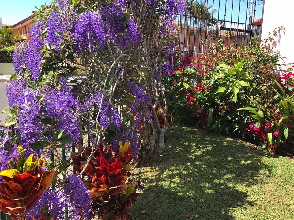 Casa Kibi Kibi Hotel San Jose  Bagian luar foto